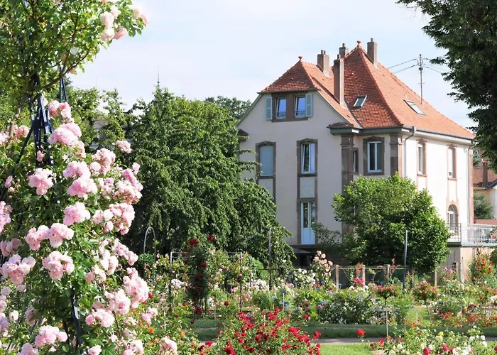 Le Jardin Des Roses