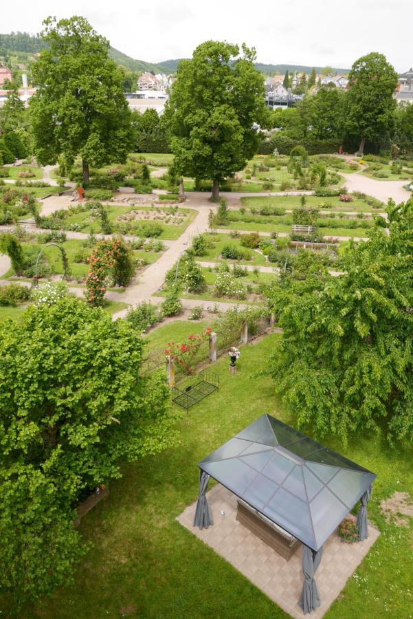 Le Jardin Des Roses * Saverne